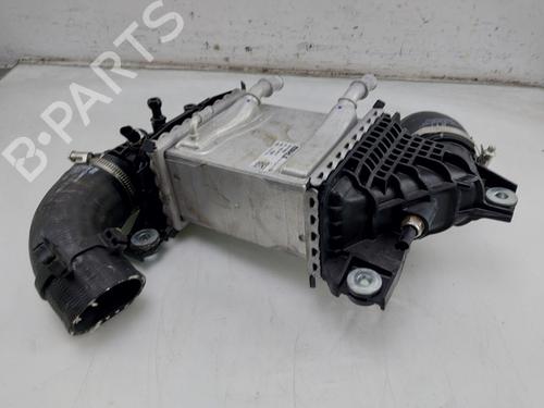 Intercooler VW TRANSPORTER T6 Van (SGA, SGH, SHA, SHH) 2.0 TDI | BP29910443M30