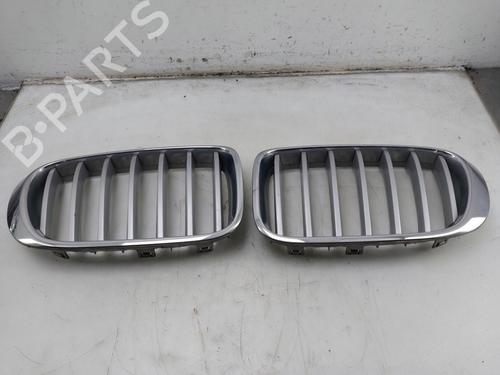 Used Grille BMW X3 (F25) xDrive 20 i (184 hp) 30060292