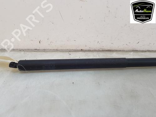 Used Tailgate lift support TESLA MODEL X (5YJX) 75D AWD (525 hp) 20485036