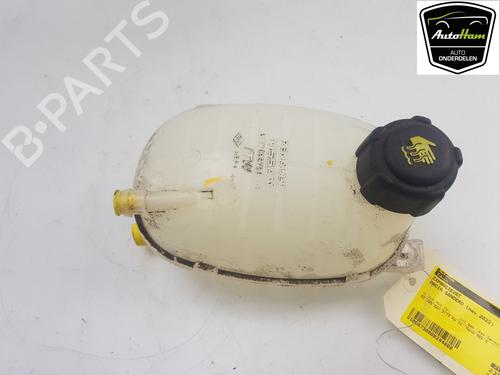 Used Expansion tank DACIA SANDERO III 1.0 TCe 90 (91 hp) 15530334