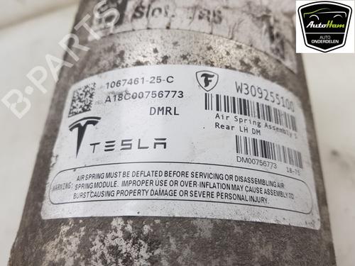 Left rear shock absorber TESLA MODEL S (5YJS) 75D AWD | BP17121774M18 