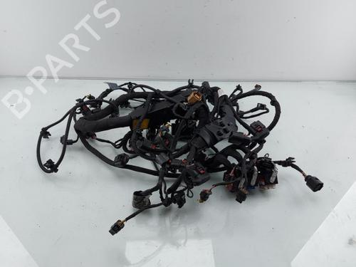 Used Other Other AUDI A4 B9 Avant (8W5, 8WD) RS4 TFSi quattro (450 hp) 36108280 36108280