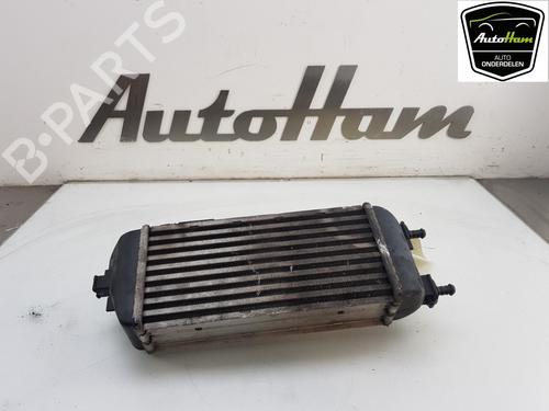 Intercooler FIAT 500 (312_) 0.9 (312AXG1A, 312.AXG11) | BP12038127M30 