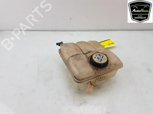 Used Expansion tank FORD TRANSIT CONNECT V408 Box Body/MPV 1.6 TDCi (75 hp) 17004695