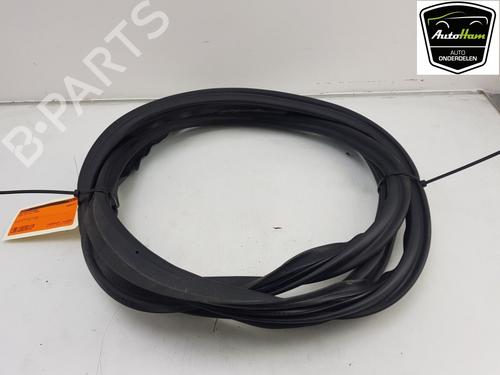 Rubber door seal AUDI Q5 (FYB, FYG) 2.0 TFSI quattro | BP13146971C142 