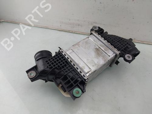 Intercooler VW TRANSPORTER T6 Van (SGA, SGH, SHA, SHH) 2.0 TDI | BP29910544M30