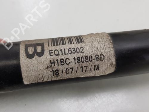 Left rear shock absorber FORD FIESTA VII (HJ, HF) 1.0 EcoBoost | BP12024346M18 