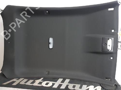 Interiør taket FORD FIESTA VI (CB1, CCN) 1.0 EcoBoost | BP12032277I12 