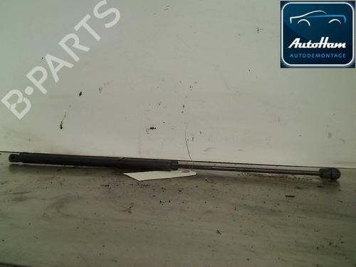 Used Tailgate lift support FORD FIESTA V (JH_, JD_) 1.6 TDCi (90 hp) 13142447