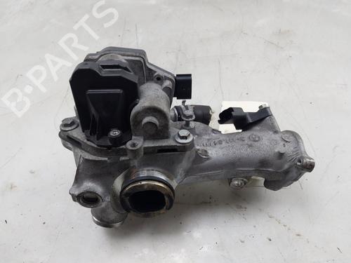 Egr RENAULT EXPRESS Box Body/MPV 1.5 Blue dCi 75 (F6AA) | BP31922117M69