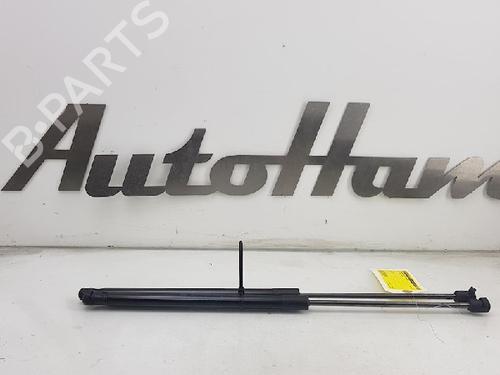 Used Tailgate lift support FORD FIESTA VI (CB1, CCN) 1.6 ST (182 hp) 13142823