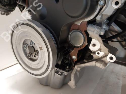 Engine VW TRANSPORTER T6 Van (SGA, SGH, SHA, SHH) 2.0 TDI | BP29503849M1 