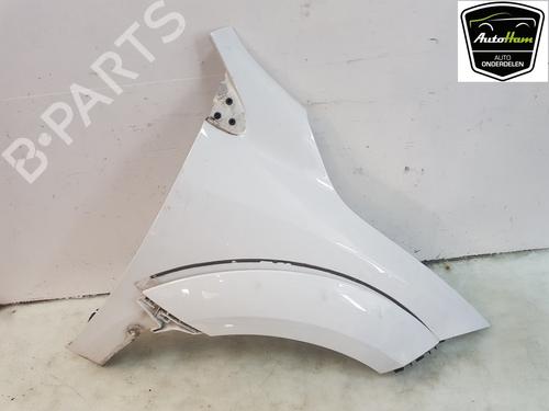 Right front fenders RENAULT MEGANE III Coupe (DZ0/1_) 2.0 TCe (DZ1N) | BP20308151C42 