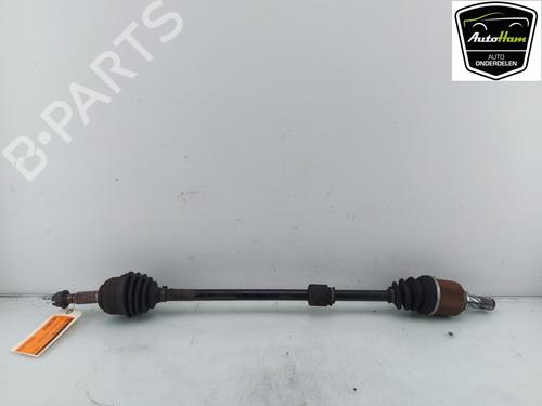 Used Right front driveshaft NISSAN MICRA III (K12) 1.2 16V (80 hp) 12044290