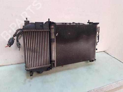 Radiator set OPEL MERIVA B MPV (S10) 1.4 (75) | BP28197697M120 