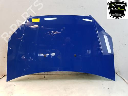 Hood FIAT DOBLO Box Body/MPV (223_) 1.3 JTD 16V Multijet | BP17122027C1 