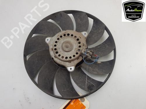 Used Radiator fan FIAT PANDA (169_) 1.2 (169.AXB11, 169.AXB1A) (60 hp) 13102758
