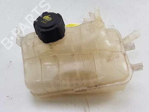 Expansion tank RENAULT MEGANE III Coupe (DZ0/1_) 2.0 TCe (DZ1N) | BP12013667C120 