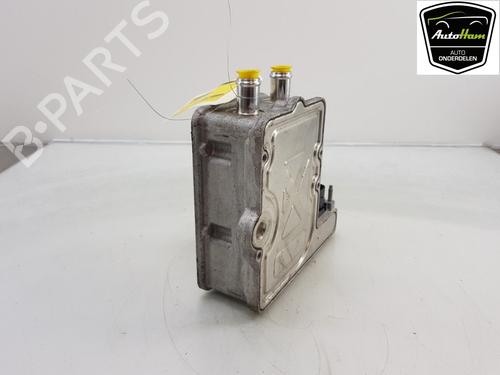 Andere CUPRA BORN (K11) 58 | BP14984776O1