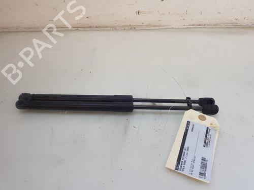 Used Hood lift support TESLA MODEL 3 (5YJ3) EV AWD (351 hp) 27271063
