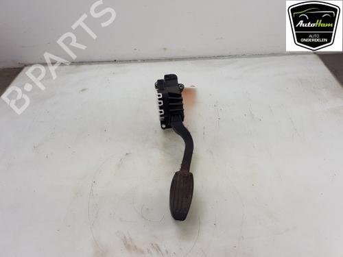 Used Pedal Pedal FIAT PANDA (312_, 319_) 0.9 (312PXP1A) (60 hp) 12044318 12044318