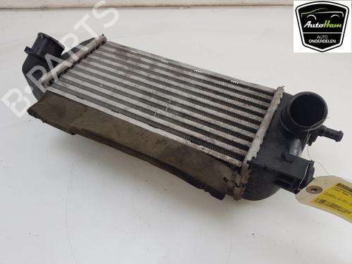 Intercooler FIAT 500 (312_) 0.9 (312AXG1A, 312.AXG11) | BP12038127M30 