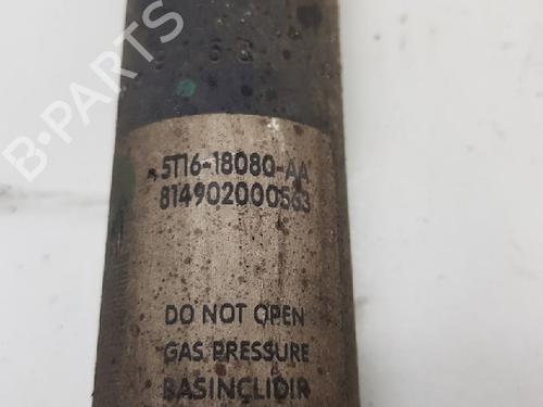 Right rear shock absorber FORD TRANSIT CONNECT (P65_, P70_, P80_) 1.8 TDCi | BP12024180M19 