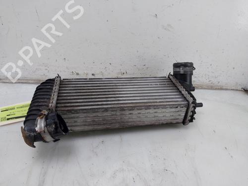 Intercooler FORD TRANSIT CONNECT V408 Box Body/MPV 1.5 EcoBlue (101 hp) 30815008
