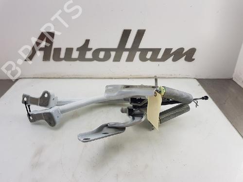 Used Hinge/Door check strap Hinge/Door check strap VW PASSAT B8 (3G2, CB2) 1.6 TDI (120 hp) 13145366 13145366