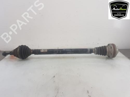 Used Right front driveshaft VW CADDY III Box Body/MPV (2KA, 2KH, 2CA, 2CH) 1.6 TDI (75 hp) 13650157