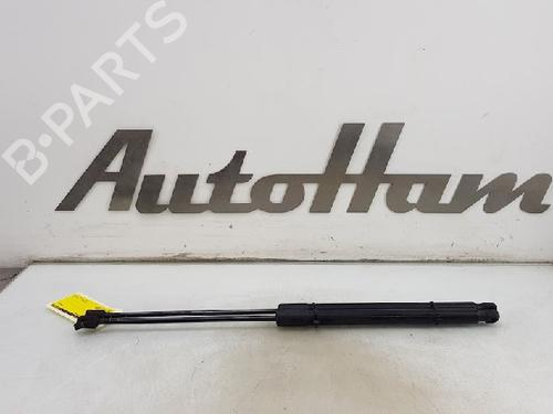 Used Tailgate lift support FORD FOCUS III 1.6 TDCi (115 hp) 13143048