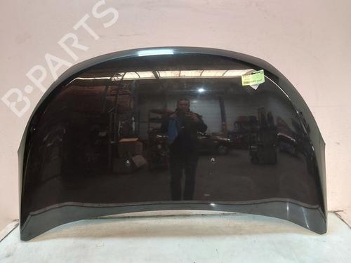 Panser DACIA LODGY (JS_) 1.2 TCe (JSAY, JSM0) (115 hp) 30184052