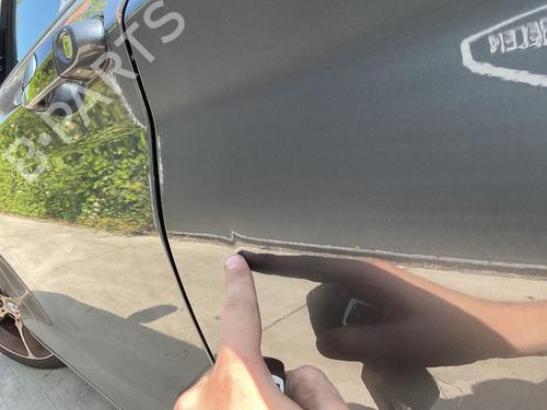 Used Left rear door BMW 1 (F20) 118 i (170 hp) 29545954