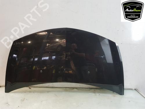 Used Hood RENAULT CLIO III Grandtour (KR0/1_) 1.2 16V (KR0P) (101 hp) 14930659
