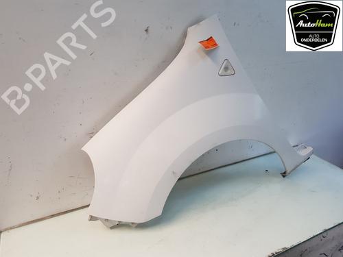 Left front fenders RENAULT KANGOO / GRAND KANGOO II (KW0/1_) 1.5 dCi 70 (KW0V, KW0A) | BP12037585C41 