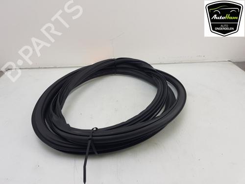 Rubber door seal AUDI Q5 (FYB, FYG) 2.0 TFSI quattro | BP13146982C142