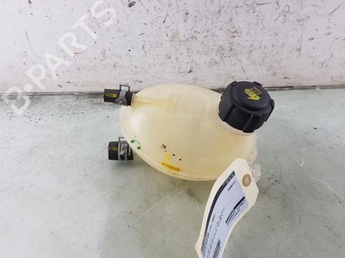 Used Expansion tank DACIA DUSTER (HM_) 1.0 LPG (HMMT) (101 hp) 24316791