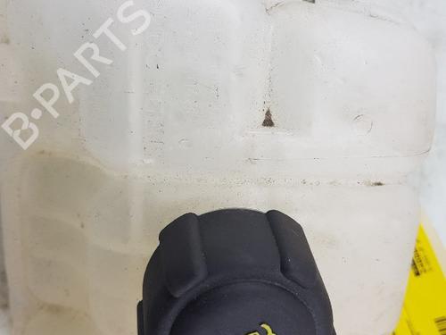 Expansion tank RENAULT MEGANE IV Grandtour (K9A/M/N_) 1.3 TCe 140 (K9NB) | BP27239498C120 