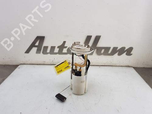Used Fuel pump FIAT DOBLO Cargo (263_) 1.3 D Multijet (90 hp) 12030462