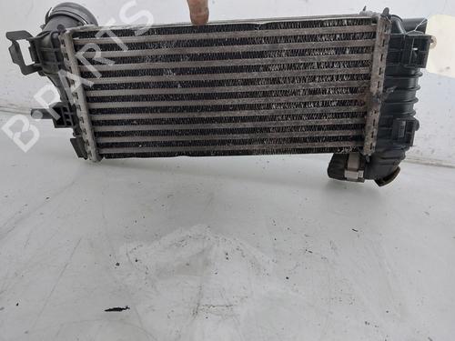 Intercooler FORD TRANSIT CONNECT V408 Box Body/MPV 1.5 EcoBlue | BP30815008M30