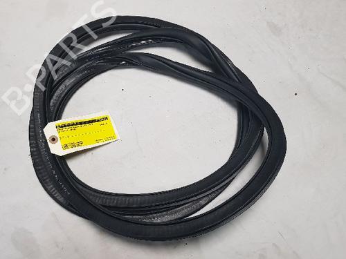 Used Rubber door seal VW TIGUAN (AD1, AX1) 2.0 TDI 4motion (240 hp) 13141277
