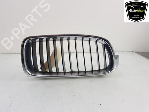 Grill BMW 3 (F30, F80) 330 e (252 hp) 12038875