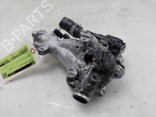 Egr Egr RENAULT EXPRESS Box Body/MPV 1.5 Blue dCi 75 (F6AA) (75 hp) 34539612 34539612