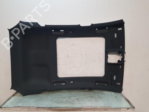 Used Interior roof Interior roof 24447114 24447114