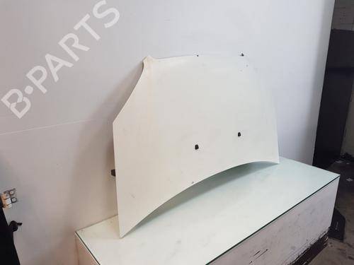 Hood FIAT DOBLO Box Body/MPV (223_) 1.3 D Multijet | BP12036344C1 