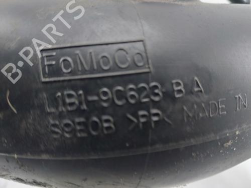 Pipe FORD PUMA (J2K, CF7) 1.0 EcoBoost mHEV | BP30435593M125 - Image 4