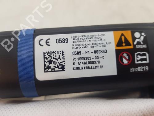 Right curtain airbag TESLA MODEL S (5YJS) 85 | BP29713211C12 