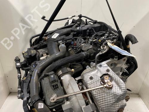 Engine ALFA ROMEO STELVIO (949_) 2.0 Q4 (949.AXA2A) | BP29632741M1 