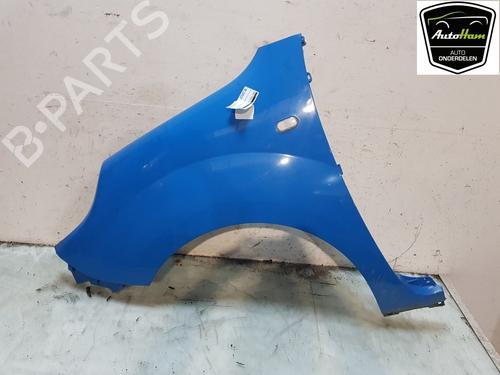 Left front fenders RENAULT KANGOO Express (FW0/1_) 1.5 dCi 75 (FW07, FW10, FW04) | BP23390619C41 