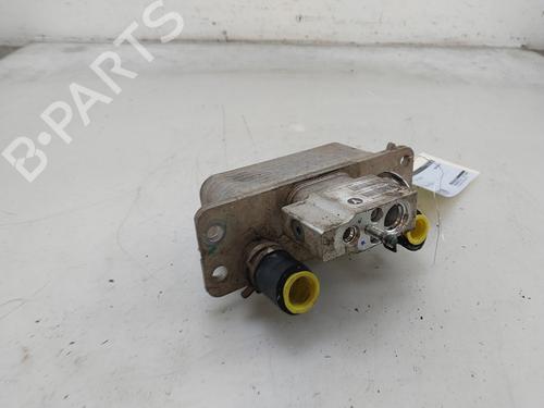 AC radiator TESLA MODEL S (5YJS) 85 | BP28096316M32 